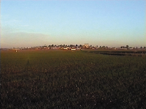 Asnat Austerlitz image